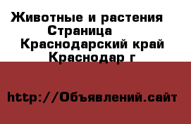  Животные и растения - Страница 38 . Краснодарский край,Краснодар г.